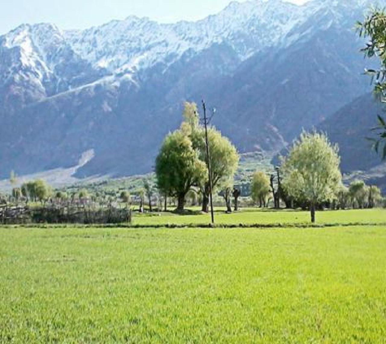 Hotel Suru View Kargil Ngoại thất bức ảnh